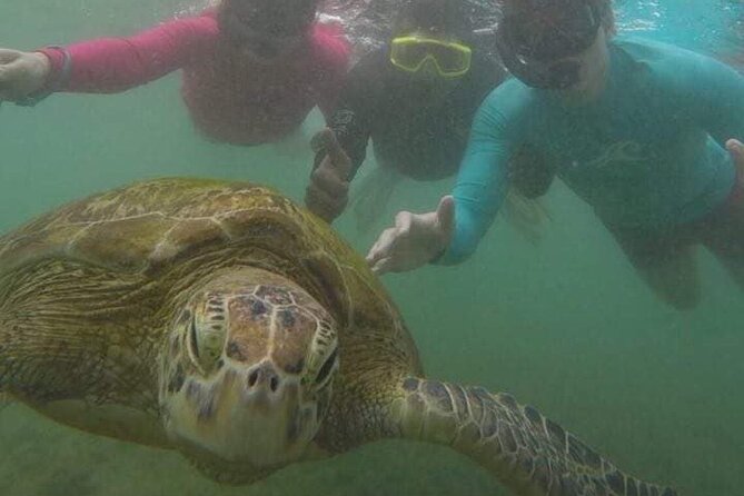Snorkeling With Sea Turtles in Mirissa (Pickup and Drop Included) - Group Size and Duration