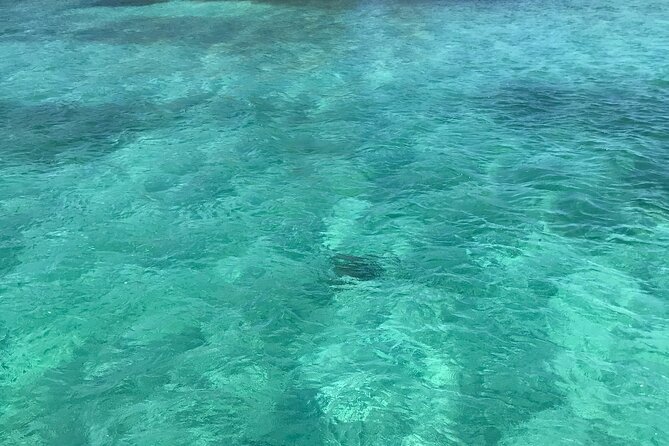 Snorkeling With The Turtles - Health and Safety Considerations