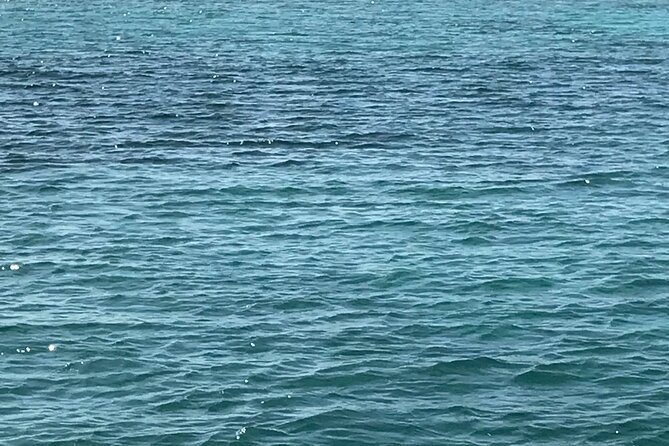 Snorkeling With The Turtles - Customer Reviews Breakdown