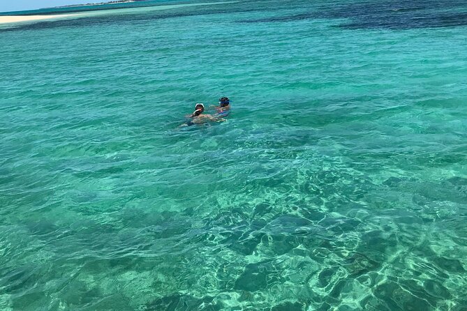 Snorkeling With The Turtles - Exploring the Snorkeling Experience