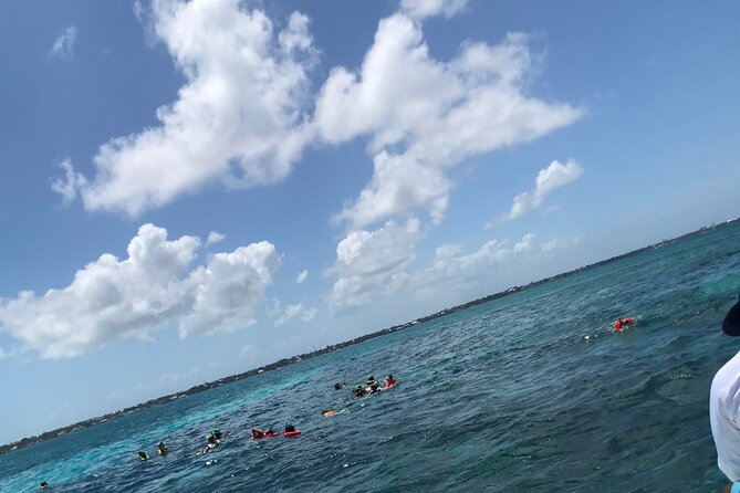 Snorkeling With The Turtles - Traveler Recommendations