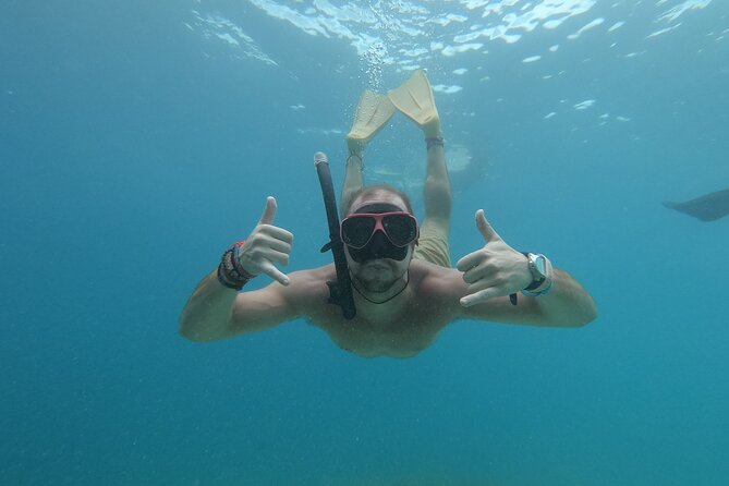 Snorkeling With Turtle and Statue in Gilis - Snorkeling Equipment Provided