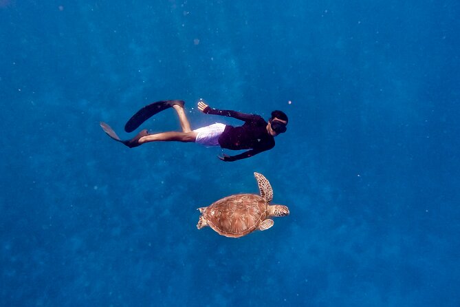 Snorkeling With Turtle and Statue in Gilis - Confirmation and Cancellation Policy