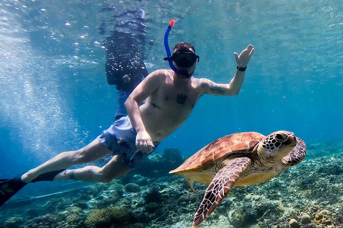 Snorkeling With Turtle and Statue in Gilis - Accessibility and Age Restrictions
