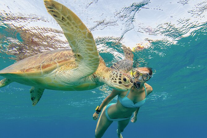Snorkeling With Turtle/Water Scooter/Paddleboard Adventures Oahu - Health and Safety Considerations