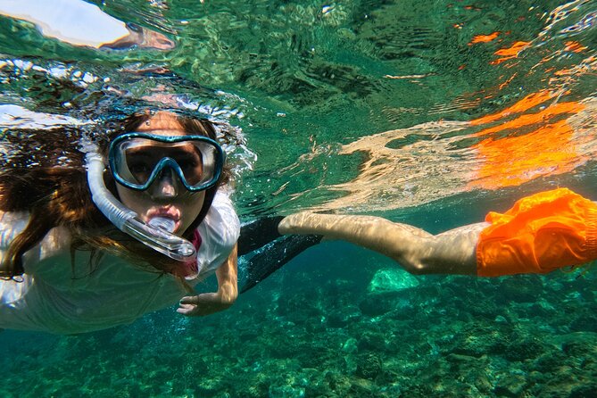 Snorkeling With Turtles in Fujairah With Transfer & BBQ Lunch - Inclusions