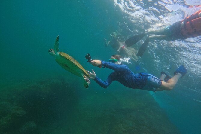 Snorkeling With Turtles in Fujairah With Transfer & BBQ Lunch - Barbeque Lunch