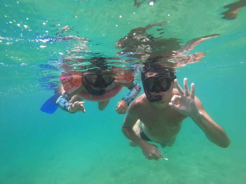 Snorkeling With Turtles in Their Natural Habitat - Key Points