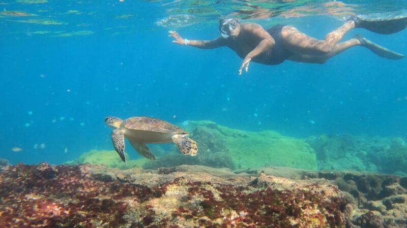 Snorkeling With Turtles in Their Natural Habitat - Locations Visited
