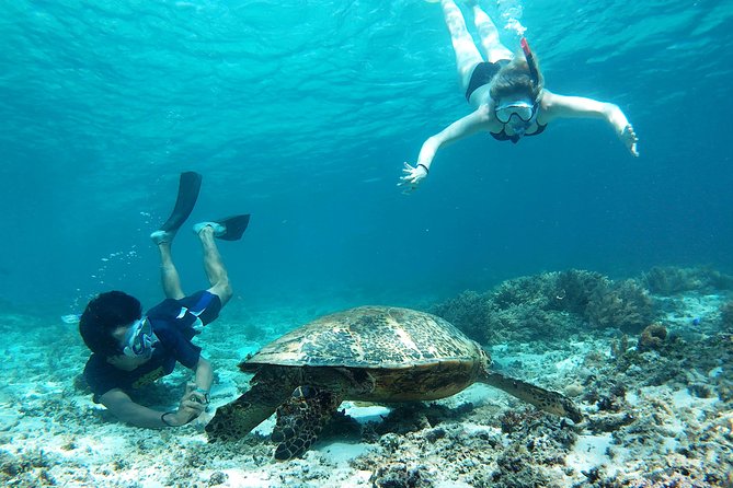 Snorkeling With Turtles on Gili Trawangan - Good To Know
