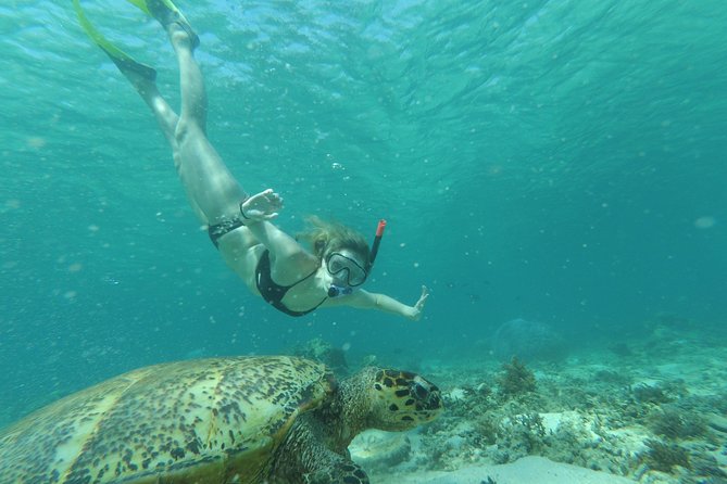 Snorkeling With Turtles on Gili Trawangan - The Underwater Sculpture of Gili Meno