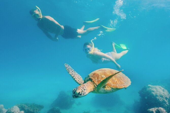 Snorkelling and Glass Bottom Boat at Green Island From Cairns - Inclusions and Highlights