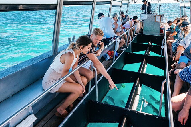 Snorkelling and Glass Bottom Boat at Green Island From Cairns - Reviews and Feedback