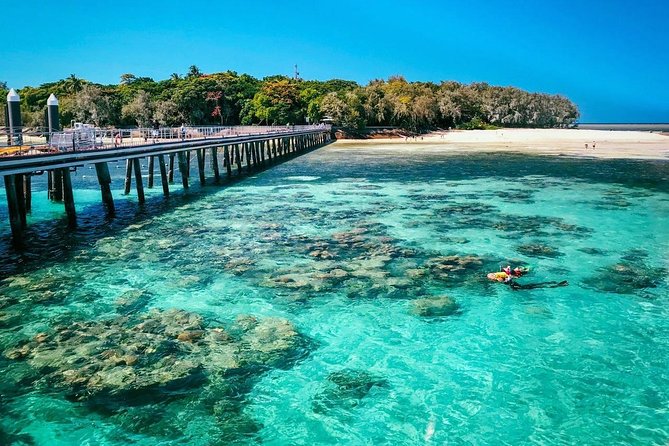 Snorkelling and Glass Bottom Boat at Green Island From Cairns - Glass Bottom Boat Tour