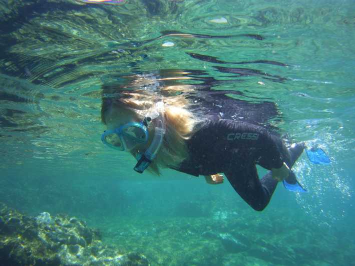 Snorkelling Experience in South of Gran Canaria - Experience Details