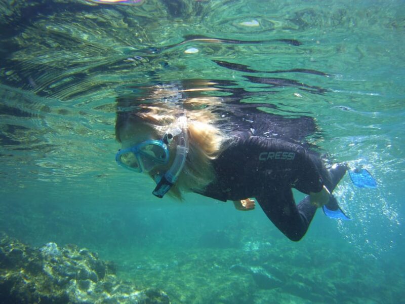 Snorkelling Experience in South of Gran Canaria - Itinerary and Locations