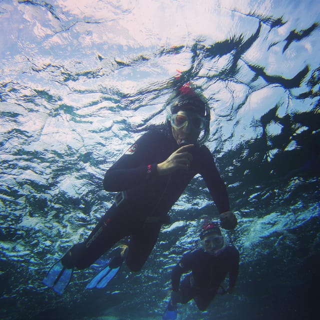 Snorkelling Experience in South of Gran Canaria - Inclusions and Equipment