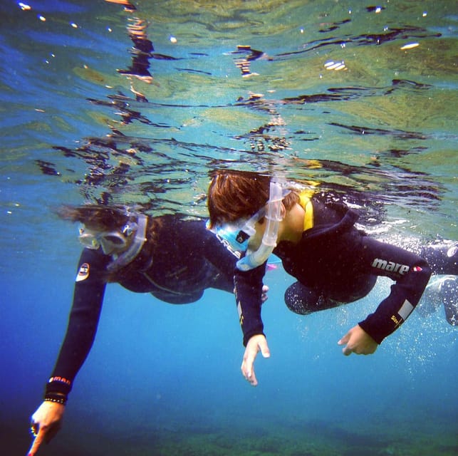 Snorkelling Experience in South of Gran Canaria - Additional Information