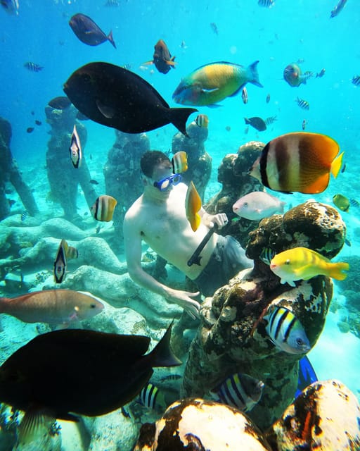 Snorkelling Gili Trawangan, Gili Air & Gili Meno From Lombok - Included Activities