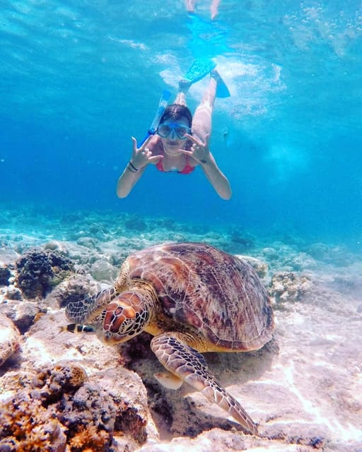 Snorkelling Gili Trawangan, Gili Air & Gili Meno From Lombok - Included Amenities