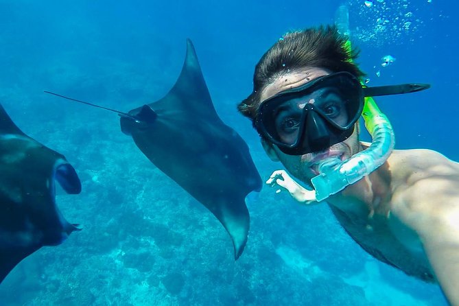 Snorkelling in Nusa Penida - Manta Point - Inclusions