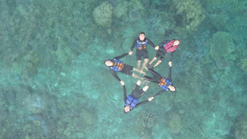 Snorkelling & Islandhopping Tour Karimunjawa (Private Tour) - Customer Feedback