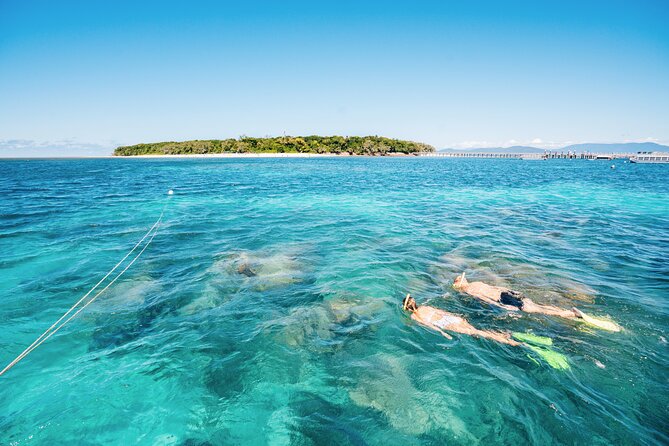 Snorkelling or Glass Bottom Boat at Green Island From Cairns - Included Amenities and Activities