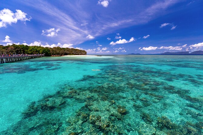 Snorkelling or Glass Bottom Boat at Green Island From Cairns - Feedback and Customer Reviews
