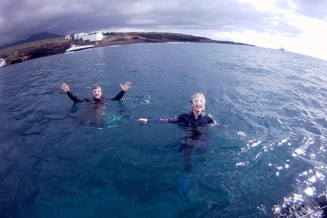 Snorkelling Safari in a Turtle Area - Meeting and Pickup Details