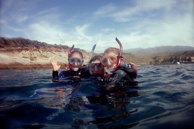 Snorkelling Safari in a Turtle Area - Pricing and Cancellation Policy