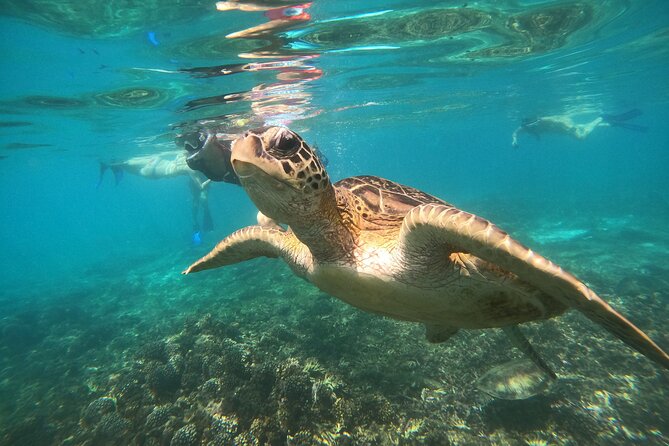 Snorkelling Tours to Daymaniyat Island - Meeting and Pickup Locations