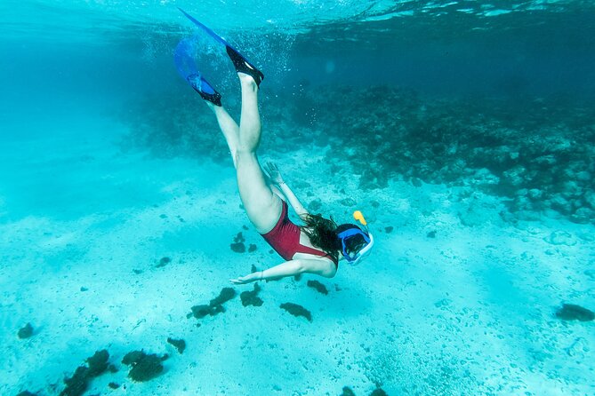 Snorkelling Tours to Daymaniyat Island - Boat and Equipment Details
