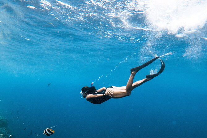 Snorkelling Tours to Daymaniyat Island - Snorkeling Experiences