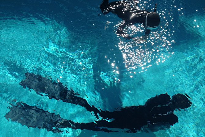 Snorkelling Trip at Ponta De São Lourenço Protected Area - Snorkeling Experience Highlights