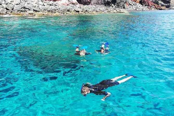 Snorkelling Trip at Ponta De São Lourenço Protected Area - Meeting Point and Duration