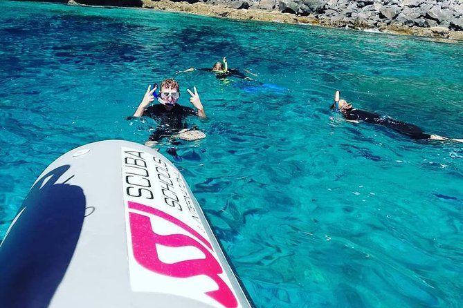Snorkelling Trip at Ponta De São Lourenço Protected Area - Customer Feedback Themes