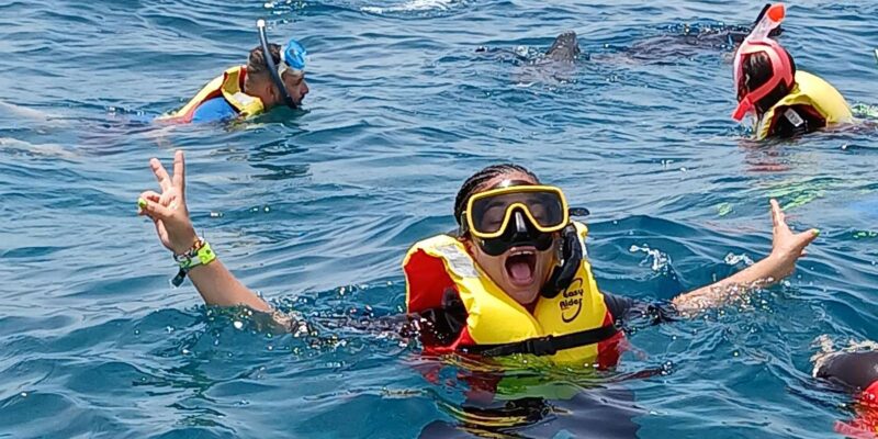 Snorkelling Trip With Certificate Local Guide - Customer Experience and Reviews