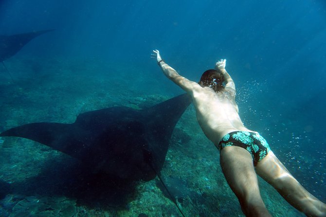 Snorkelling With Manta Rays - Host and Reviews