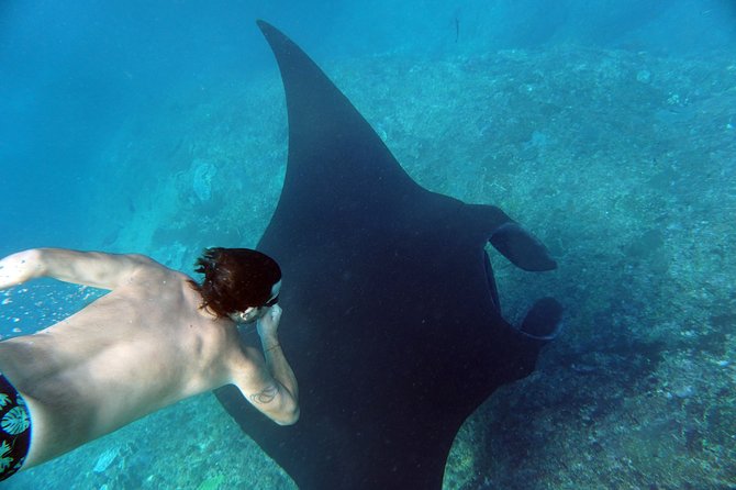 Snorkelling With Manta Rays - Location and Duration
