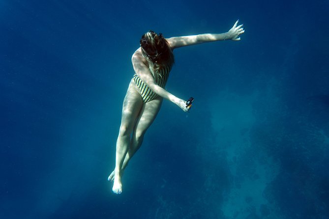 Snorkelling With Manta Rays - Traveler Recommendations