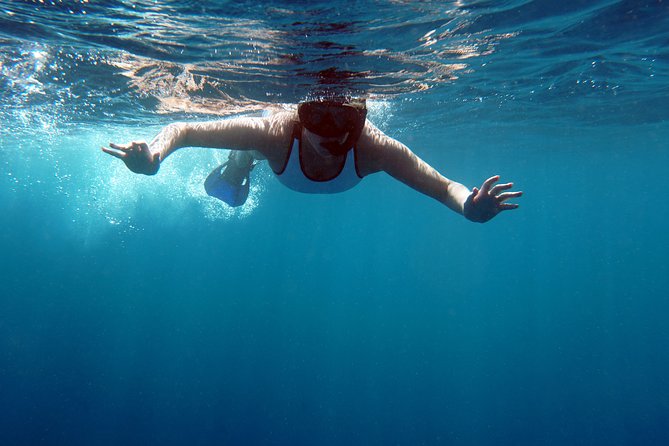 Snorkelling With Manta Rays - Speedboat Trip and Snorkeling