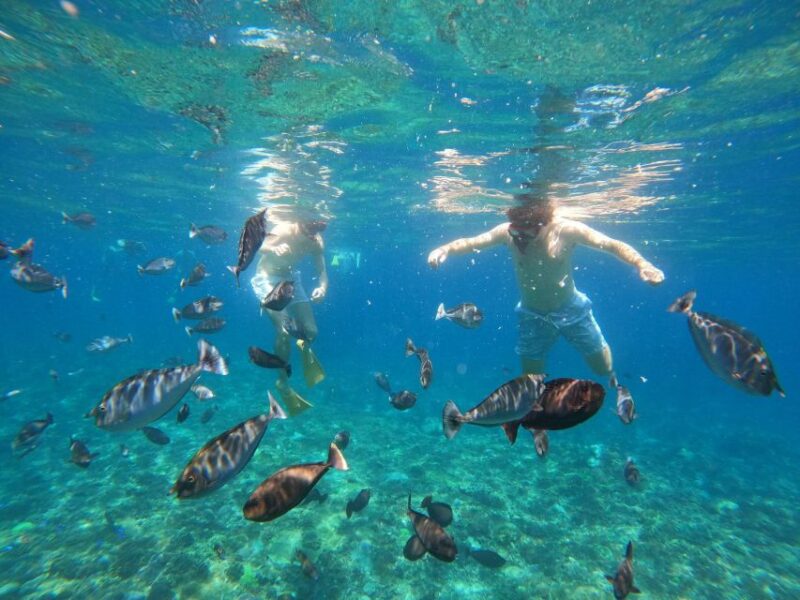 Snorkling & West Day Trip Nusa Penida Island - Itinerary Details