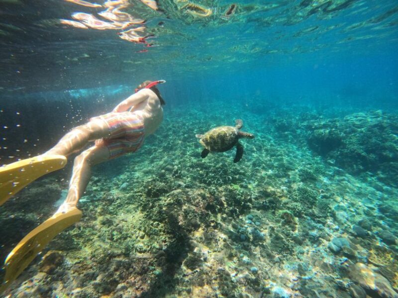 Snorkling & West Day Trip Nusa Penida Island - Highlights of the Experience