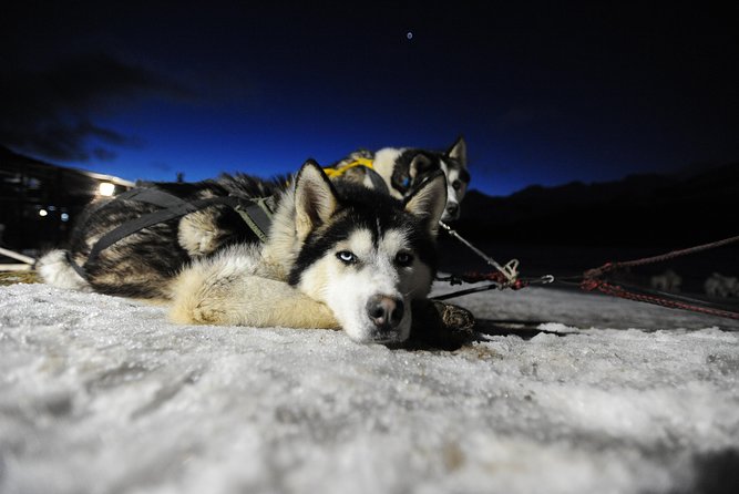 Snow and Fire - Nighttime Adventure in Ushuaia