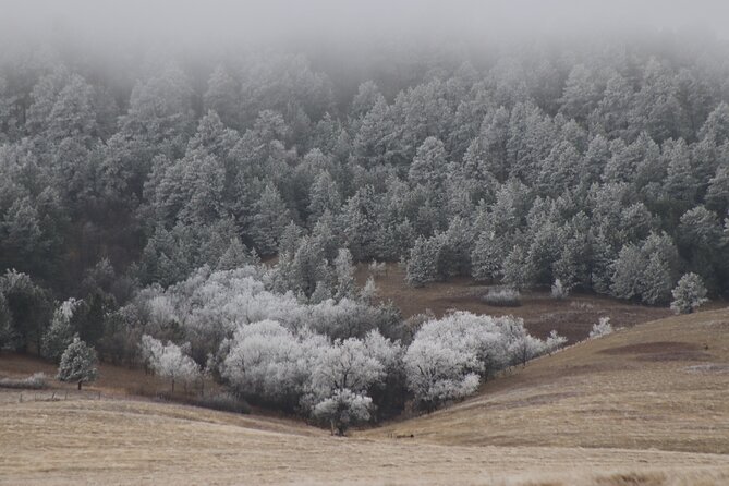 Snow-Capped Escapes: Black Hills in Winter - Visiting Historic Sites