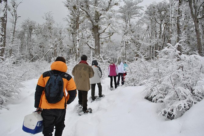 Snow Day Adventure: Hike & Moto Ski at Llanos Del Castor - Exhilarating Snowmobiling Experience