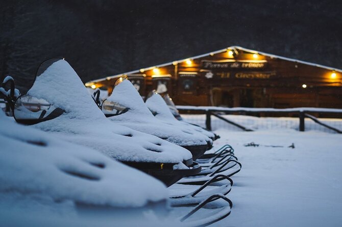 Snow Day Adventure: Hike & Moto Ski at Llanos Del Castor - Mushing Demonstrations With Puppies