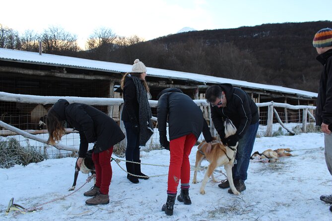 Snow Day Adventure: Hike & Moto Ski at Llanos Del Castor - Health and Safety Considerations