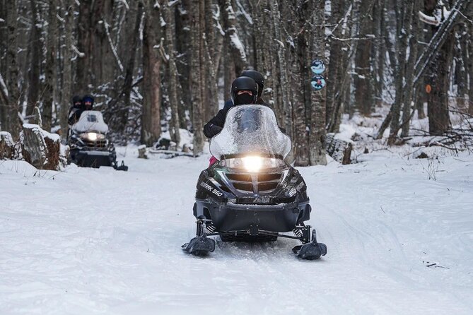 Snow Day Adventure: Hike & Moto Ski at Llanos Del Castor - Snowshoeing Through Forests