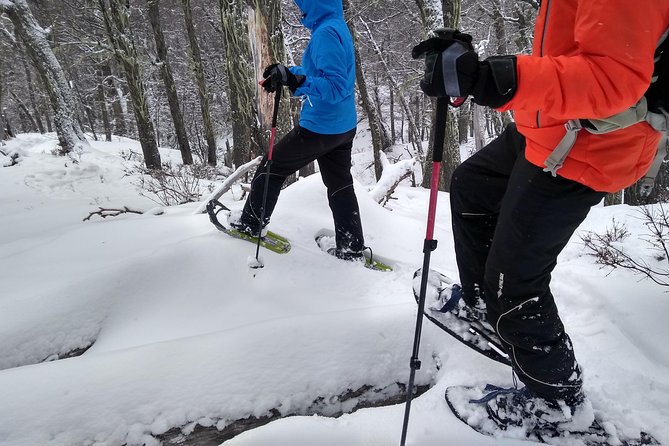 Snow Excursion in Bariloche - Suitable for the Whole Family - Pricing and Cancellation Policy